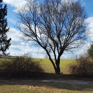 Extra Photos
